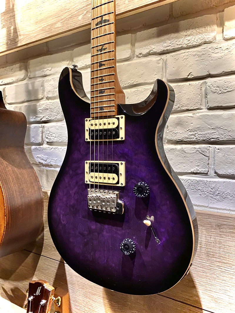 PRS_SE02