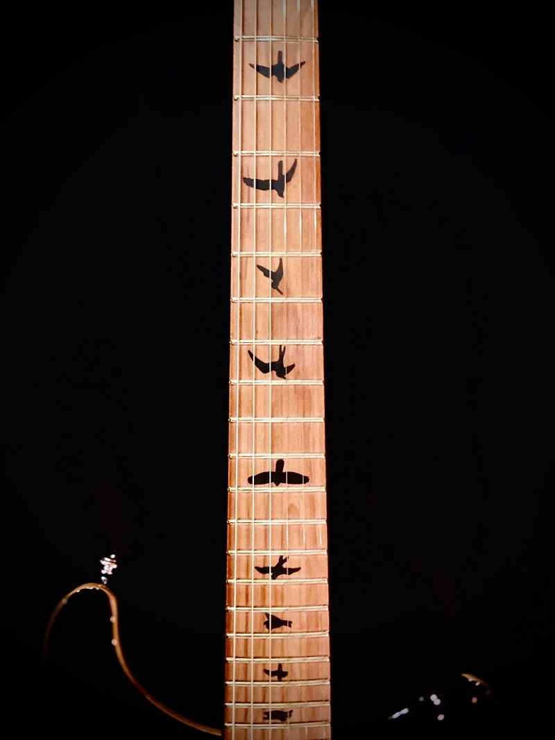 PRS_SE101 (1)
