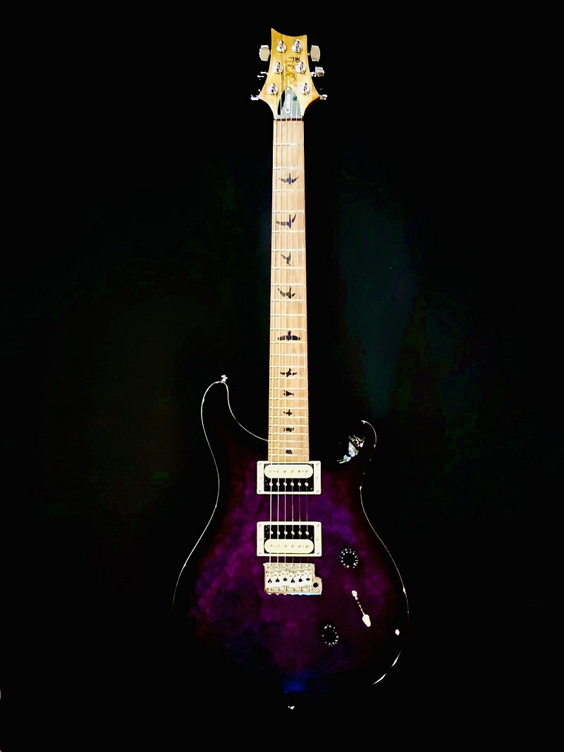 PRS_SE101 (2)