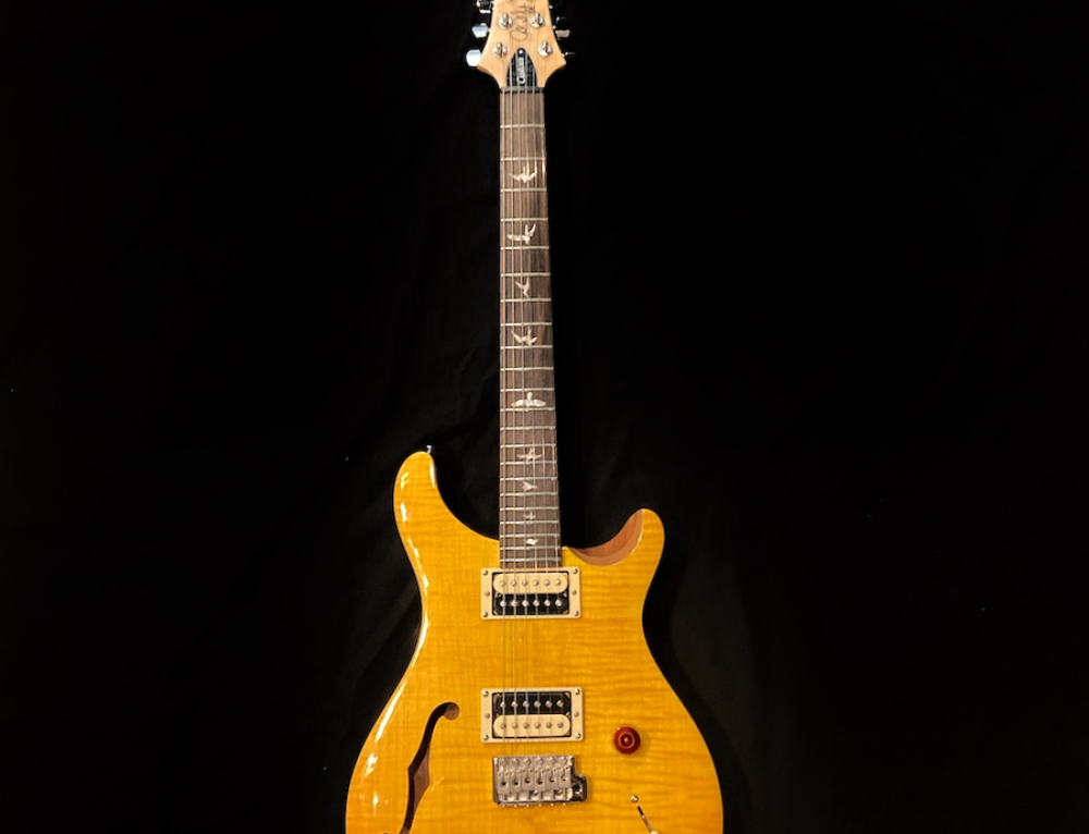 PRS SE Custom 22 Semi-Hollow 新到貨啦!!!